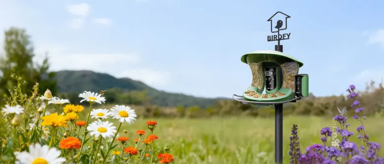 Karmnik dla ptaków z kamerą Birdfy Feeder 2 Duo na słupku na łące