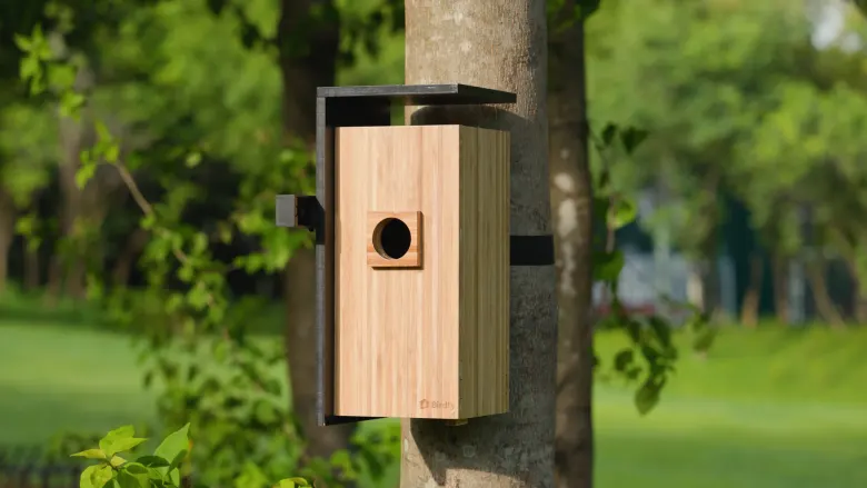 Bambusowa budka lęgowa z kamerą Birdfy Nest Duo zamocowana na drzewie