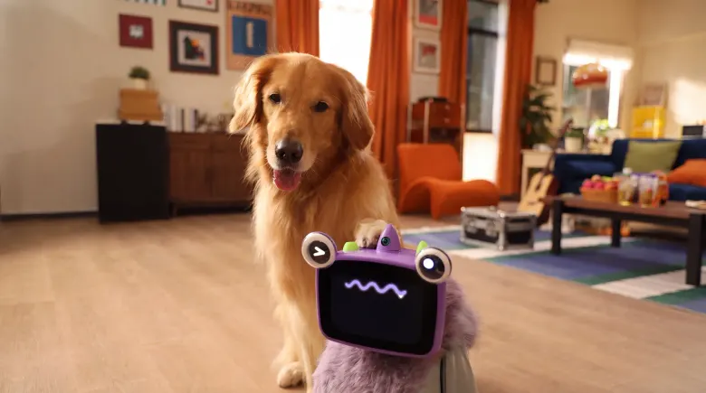 Fioletowy robot OlloNi SS1 z ekranem-twarzą przed psem w salonie