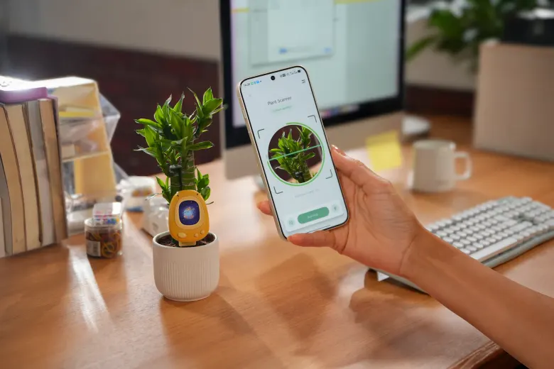 Aplikacja PlantSenso na smartfonie obok rośliny z czujnikiem na biurku