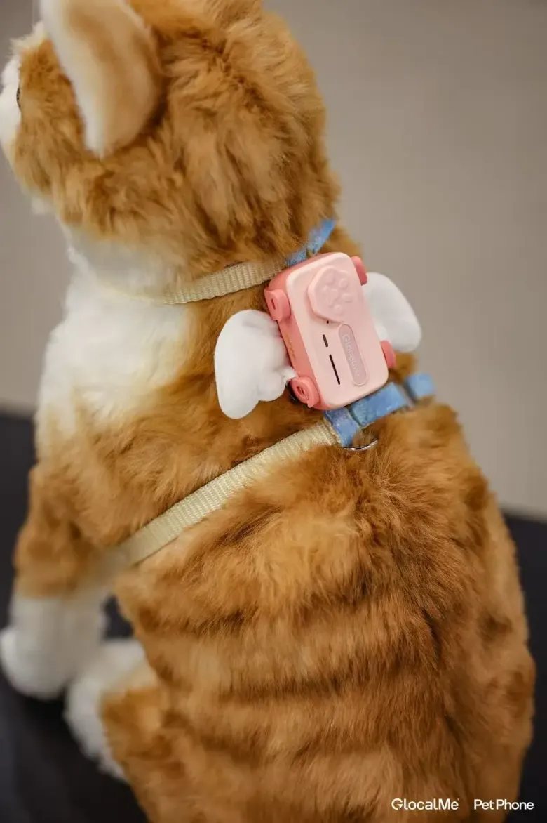 Różowy PetPhone przypięty do szelek rudego kota